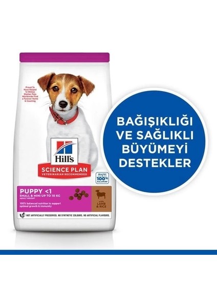 Hills Puppy Small & Mini Kuzu Etli Küçük Irk Yavru Köpek Maması 6 kg