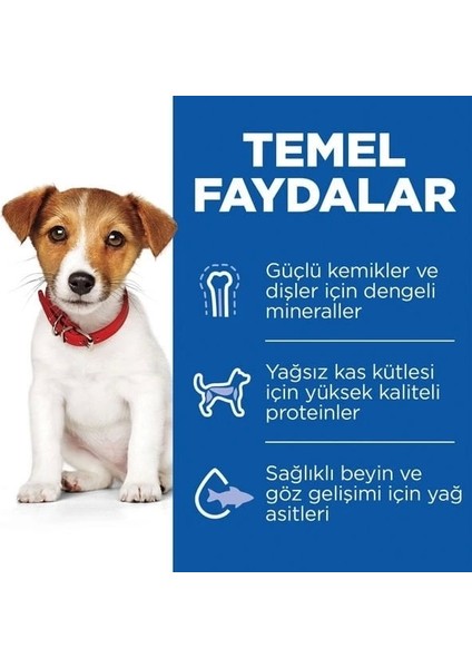 Hills Puppy Small & Mini Kuzu Etli Küçük Irk Yavru Köpek Maması 6 kg