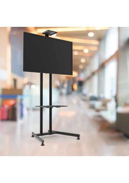 Alpın Tv Standı Iş Yeri ve Ofis Tipi Video Kamera Askı Aparatlı Sabit Ayaklı Metal Tv Ünitesi 40" Inç- 75" Inç