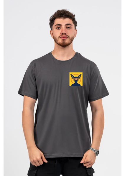 Regular Darko Baskılı Tshirt fiyatları