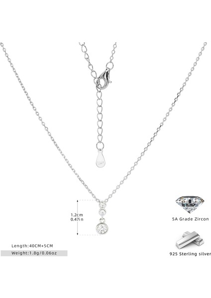 S925 Ayar Gümüş Mizaç Basit Kolye Niş Tasarım Köprücük Kemiği (Yurt Dışından)