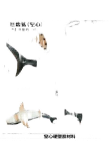 Deniz Yaşamı Modellerinin Simülasyonu (Yurt Dışından)