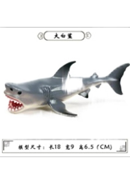 Deniz Yaşamı Modellerinin Simülasyonu (Yurt Dışından)