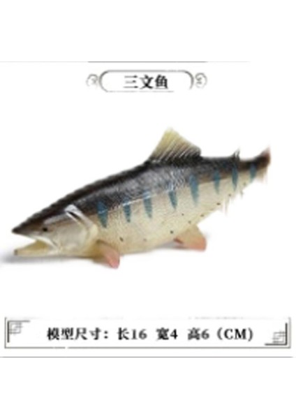 Deniz Yaşamı Modellerinin Simülasyonu (Yurt Dışından)