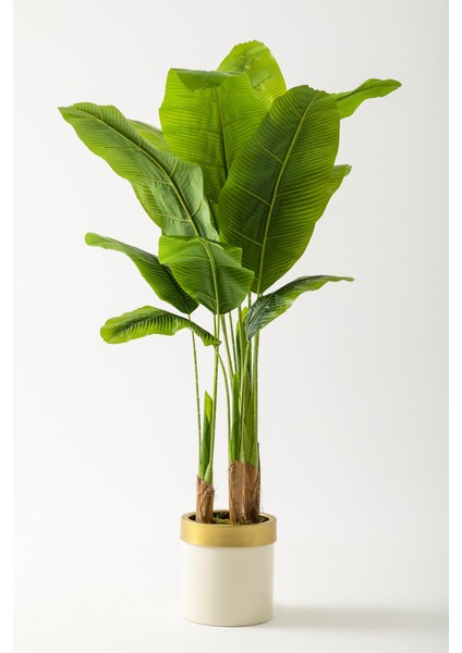 Yapay Muz Ağacı 160 cm Krem Gold Metal Saksı