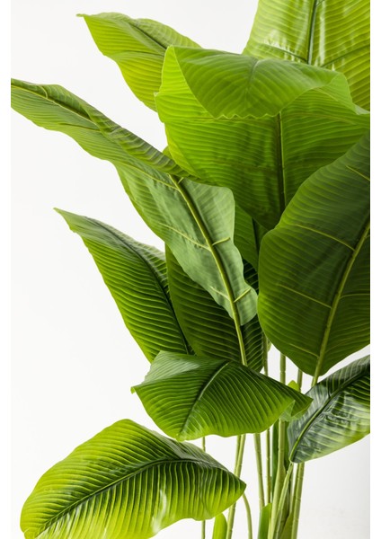 Yapay Muz Ağacı 160 cm Krem Gold Metal Saksı fiyatları