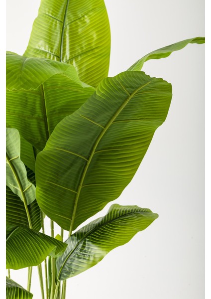 Yapay Muz Ağacı 160 cm Krem Gold Metal Saksı modelleri