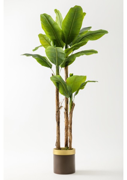 Yapay Muz Ağacı 220 cm Kahverengi Gold Metal Saksı