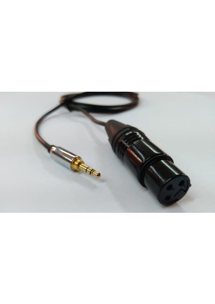 3.5 Mm To Xlr Dişi Bilgisayar Mikrofon Kablosu 3 Metre