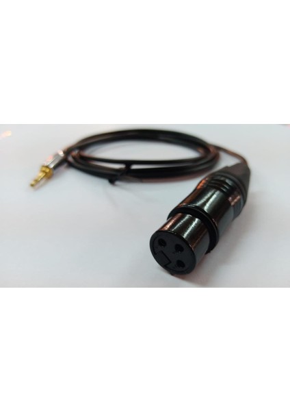 3.5 Mm To Xlr Dişi Bilgisayar Mikrofon Kablosu 3 Metre modelleri