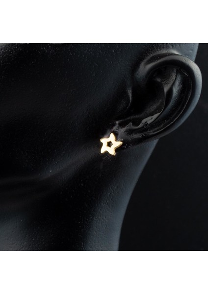 Yıldız 22 Ayar Klipsli Altın Küpe fiyatları