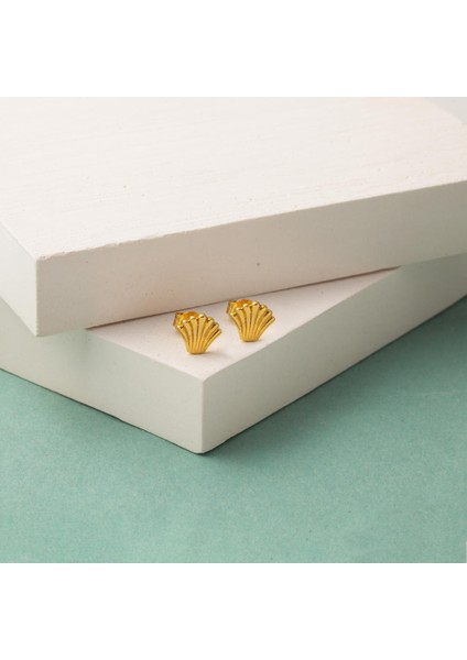 Deniz Kabuğu 22 Ayar Klipsli Küpe modelleri