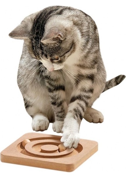 Ahşap Kedi Zeka Oyuncaği 19X19X2Cm