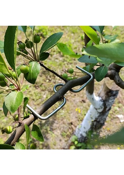 5 Adet Bonsai ve Meyve Ağaçları Dal Şekillendirme Dal Tutucu Dal Ayırıcı Dal Destekleme Dal Eğme Dal Ayırma