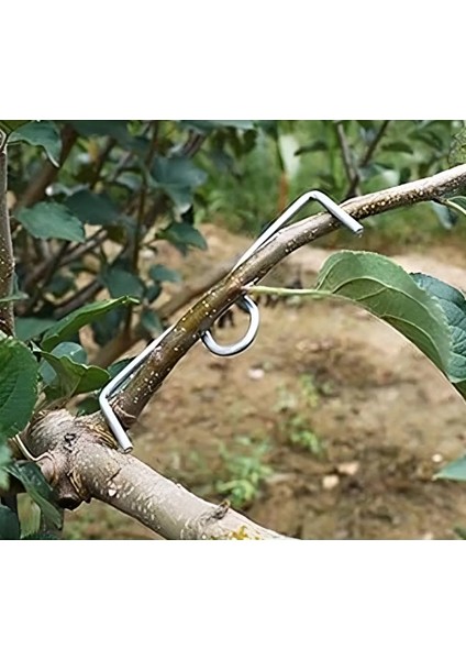 5 Adet Bonsai ve Meyve Ağaçları Dal Şekillendirme Dal Tutucu Dal Ayırıcı Dal Destekleme Dal Eğme Dal Ayırma