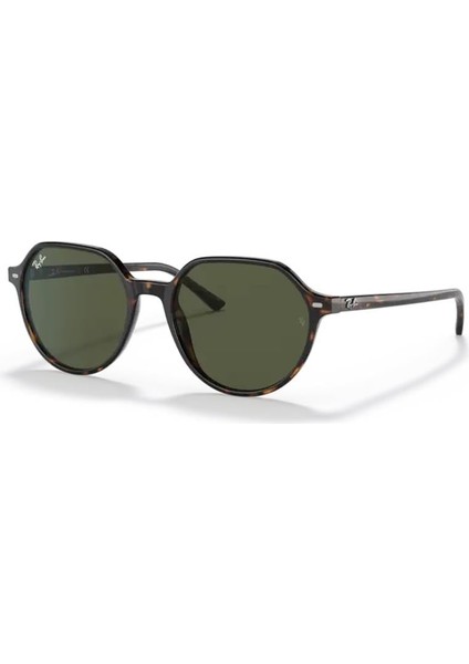 RB 2195 90231 53 Unisex Güneş Gözlüğü