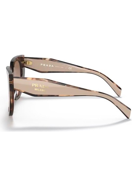 PR 14WS 01R0A 52 Kadın Çekik Çok Renkli Kemik Güneş Gözlüğü modelleri