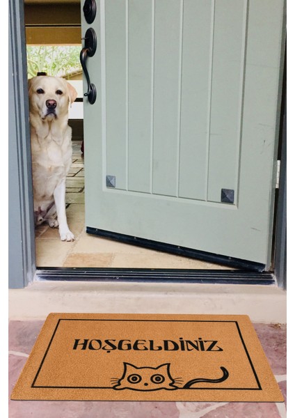 Hoşgeldiniz, Kedi Deseni, Dış Kapı Önü Paspası, Uzun Ömürlü Dayanıklı Paspas, Çeyiz Eşyası, Ev Dekorasyonu