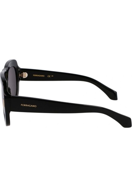 Sf 2029SE 001 57 Kadın Kelebek Siyah Kemik Güneş Gözlüğü fiyatları