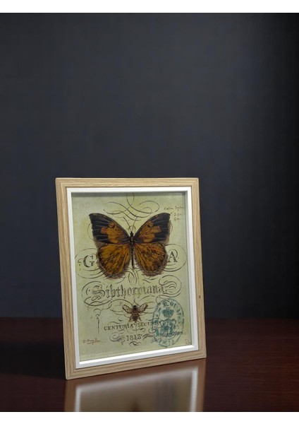 Ciho 15×20 cm Camlı Ahşap Dekoratif Kontrast Beyaz Detaylı Fotoğraf / Anı Çerçevesi modelleri