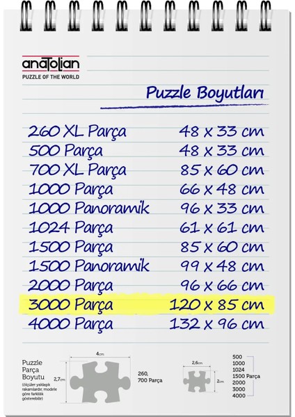3000 Parçalık Puzzle - Fractal İstanbul 4913