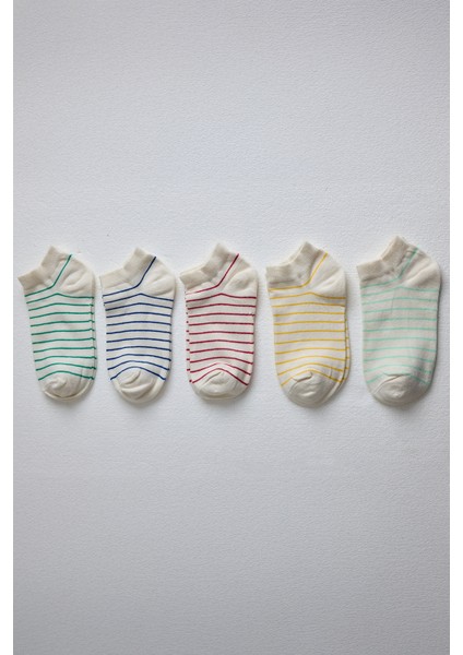 Renkli Çizgili 5'li Örme Patik Çorap 1205 fiyatları