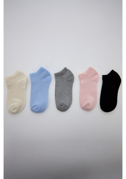 Renkli 5'li Örme Patik Çorap 1207 fiyatları