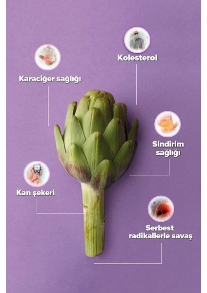 Ekstraktlı Enginar Suyu 500 ml fiyatları