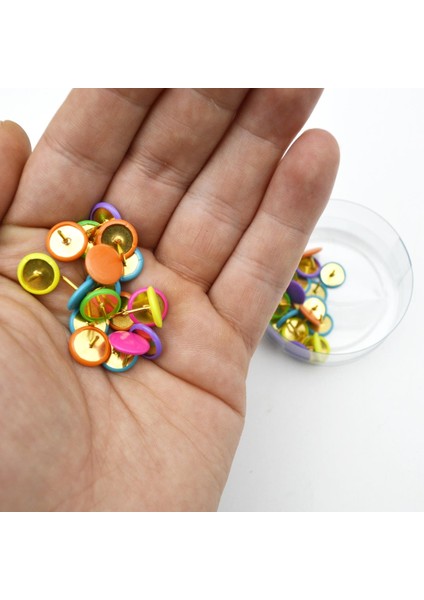 Plastik Başlı Renkli Raptiye 50 Li (RP50) fiyatları