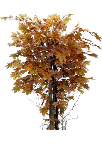 Yapay Çınar Ağacı Sarı 170 cm modelleri