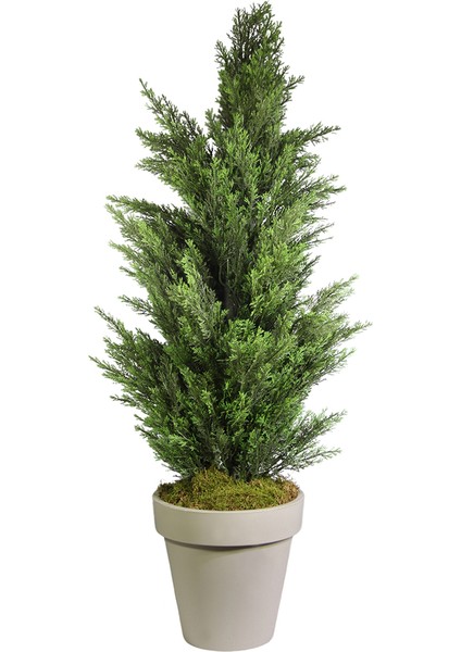 Yapay Limon Servi Çam Ağacı 135 cm