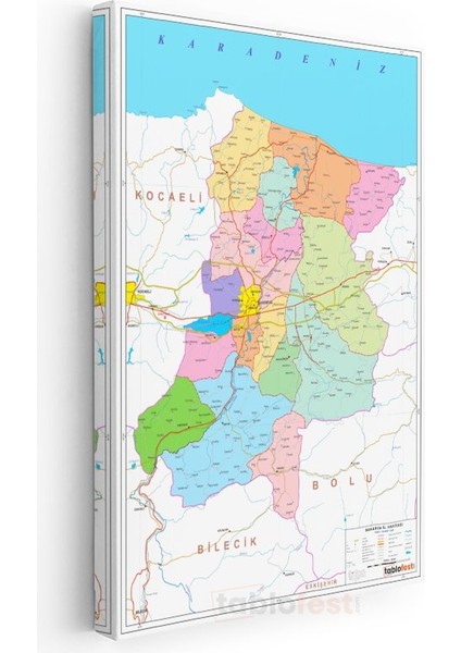 Sakarya - Il Haritası Kanvas Tablo