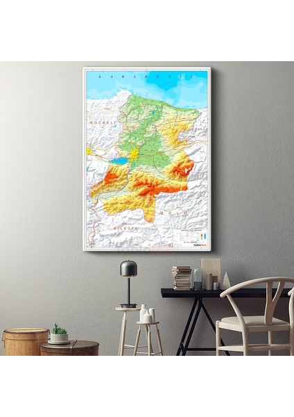 Sakarya - Fiziki Haritası Kanvas Tablo