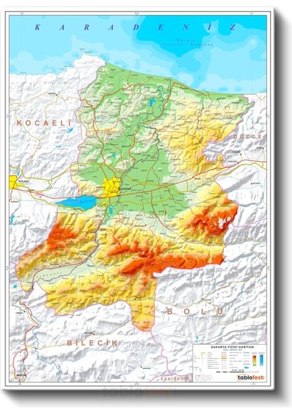Sakarya - Fiziki Haritası Kanvas Tablo