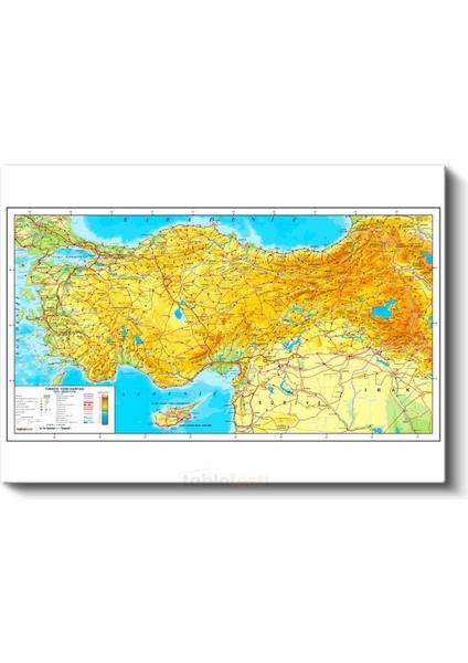 Türkiye - Fiziki Haritası Kanvas Tablo fiyatları