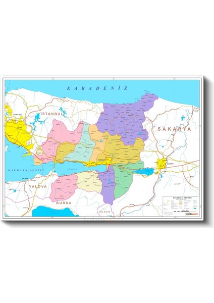 Kocaeli - Il Haritası Kanvas Tablo