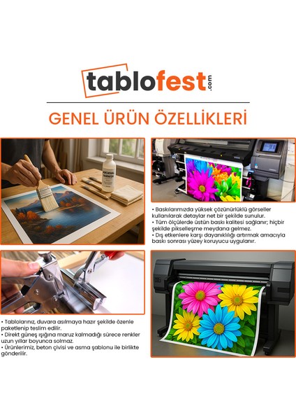 Kıbrıs - Siyasi Haritası Kanvas Tablo