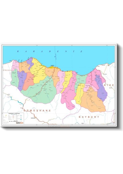 Trabzon - Il Haritası Kanvas Tablo fiyatları