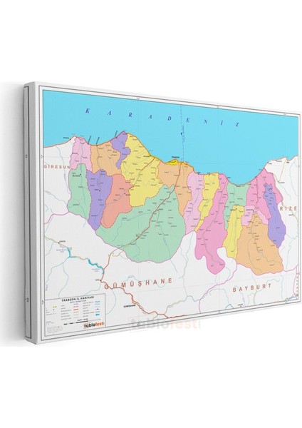 Trabzon - Il Haritası Kanvas Tablo modelleri