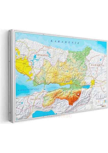 Kocaeli - Fiziki Haritası Kanvas Tablo