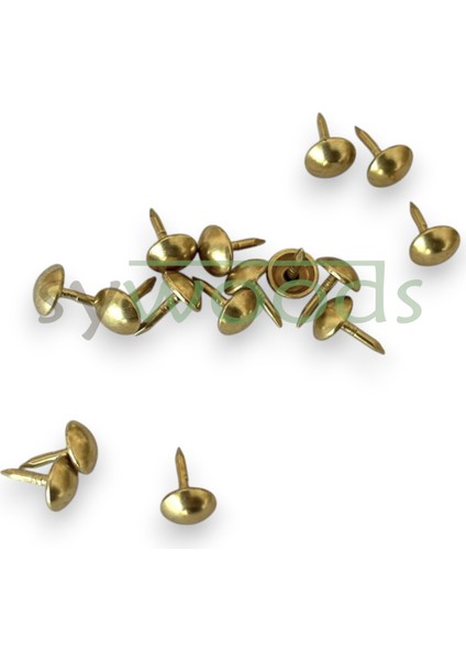 Mini Kabara Raptiye 6.5 mm 100 Adet Koltuk Sandalye Ahşap Dekorasyon Aksesuar Sarı Renk fırsatları