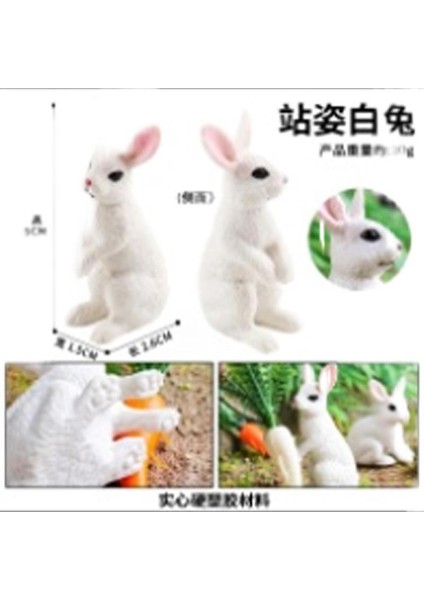 Hayvan Modeli Oyuncaklar (Yurt Dışından)