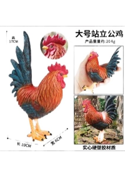 Hayvan Modeli Oyuncaklar (Yurt Dışından)