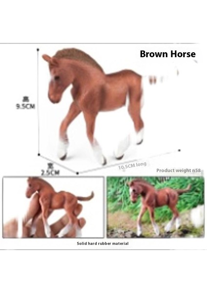 Hayvan Modeli Oyuncaklar (Yurt Dışından)