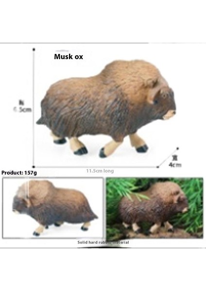 Hayvan Modeli Oyuncaklar (Yurt Dışından)