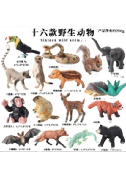 Hayvan Modeli Oyuncaklar (Yurt Dışından)