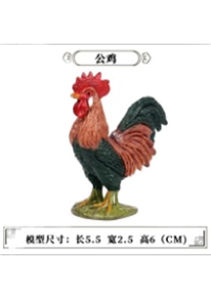 Hayvan Modeli Oyuncaklar (Yurt Dışından)