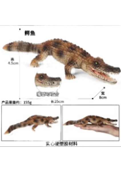 Hayvan Modeli Oyuncaklar (Yurt Dışından)