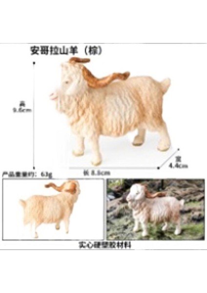 Hayvan Modeli Oyuncaklar (Yurt Dışından)