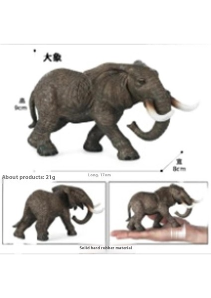 Hayvan Modeli Oyuncaklar (Yurt Dışından)